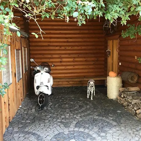 Roothaus Holiday home